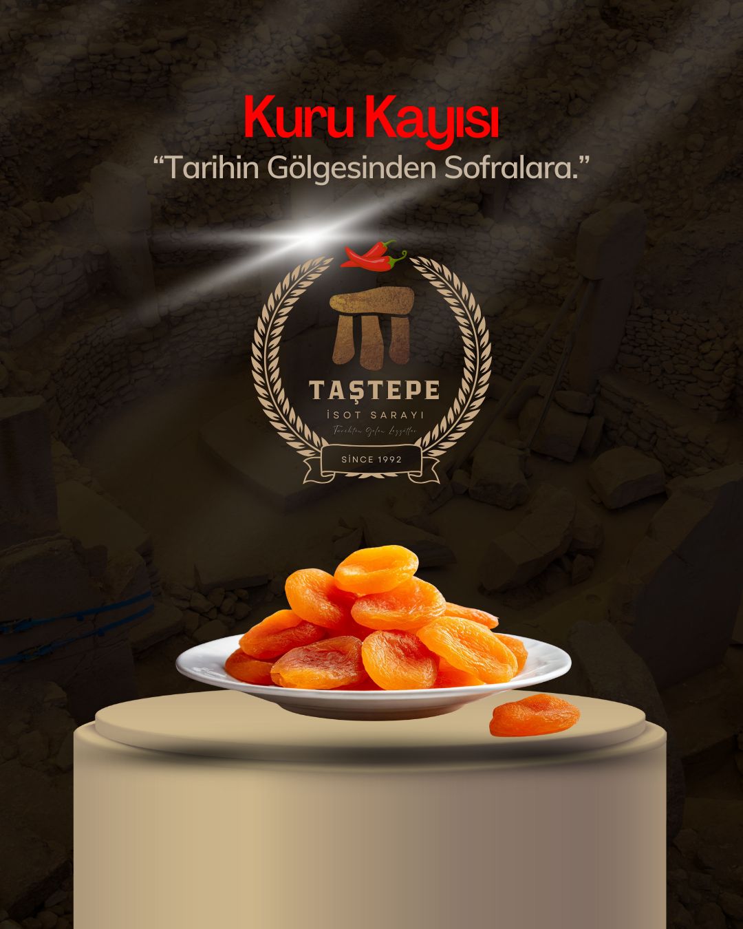 Kuru Kayısı